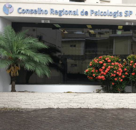 Imagem ilustrativa orgão