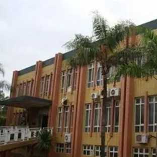 Imagem ilustrativa orgão