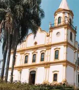 Imagem ilustrativa orgão