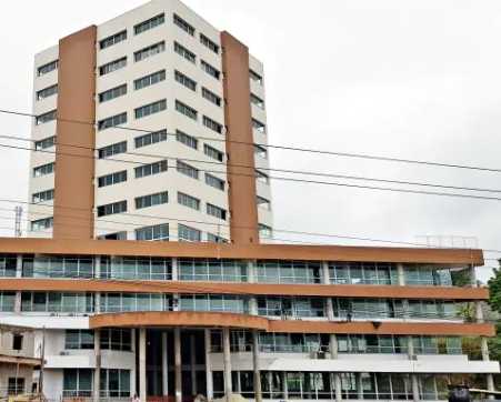 Imagem ilustrativa orgão